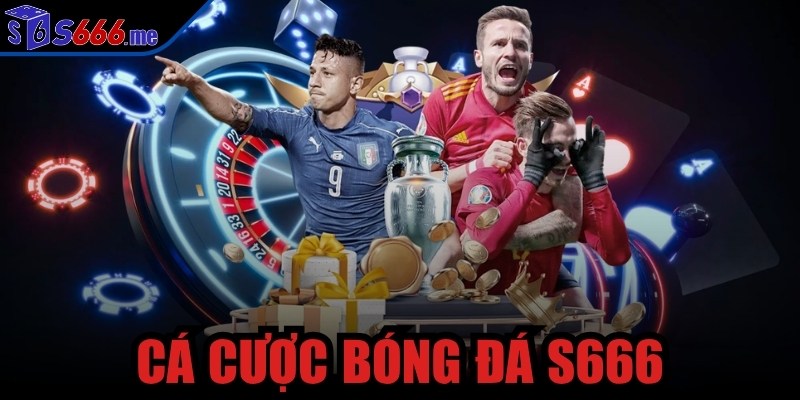 cá cược bóng đá S666