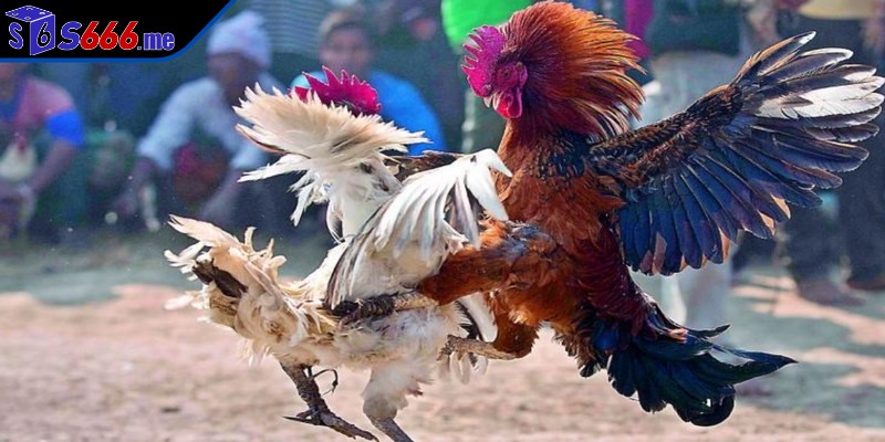 Truy cập vào sân chơi uy tín để có được các trải nghiệm an toàn