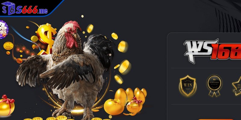 Những quy trình tham gia cá cược đá gà online 