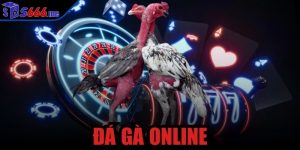 đá gà online
