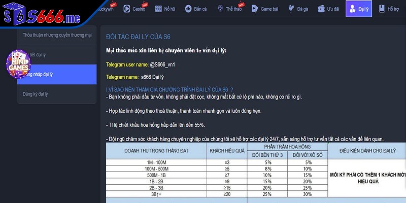 Thường xuyên theo dõi quản lý tài chính và hoạt động của đại lý