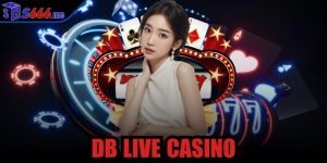 DB Live Casino